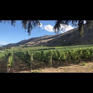 Meet your Posher, Yujin